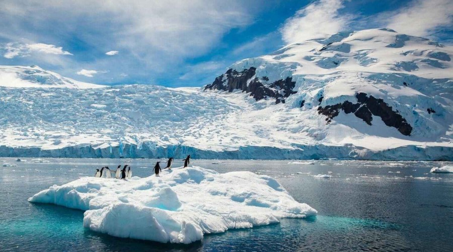 Thinning Antarctic ice shelf finally crumbles after heatwave