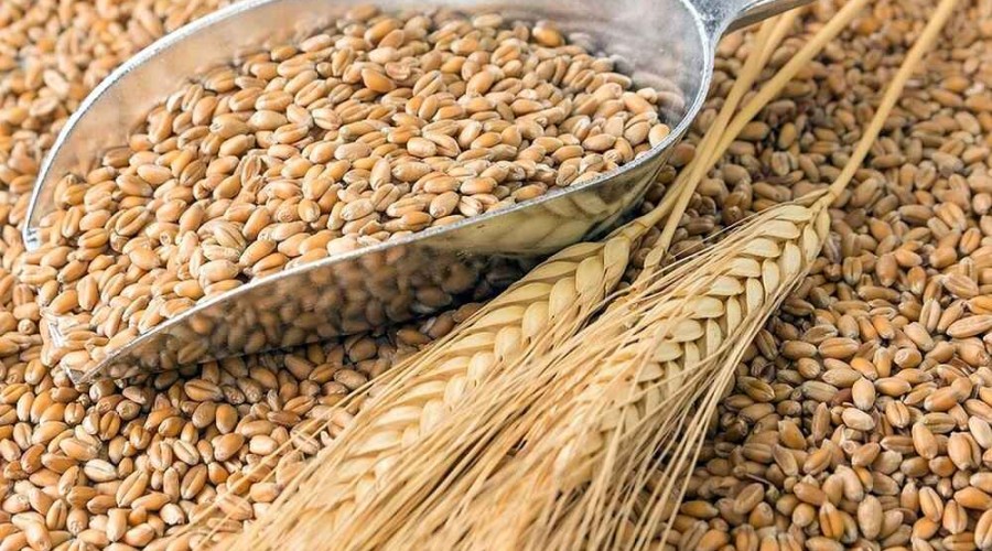 Азербайджан будет экспортировать зерно в Израиль