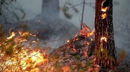 Number of injured people in Russia’s Krasnoyarsk Territory fires climbs to 19