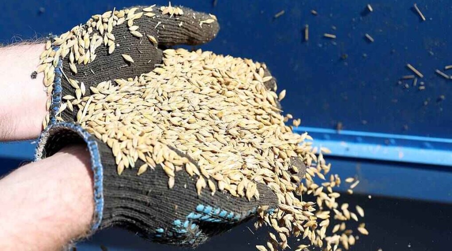 Russia can offer 25 mln tonnes of grain for export starting on August 1 — UN envoy