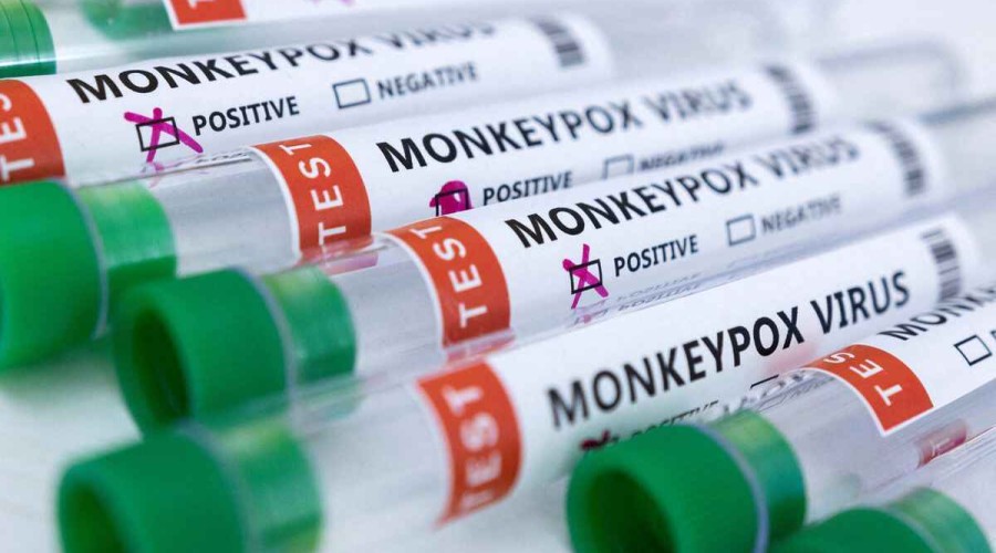 Test makers target monkeypox market as cases surge