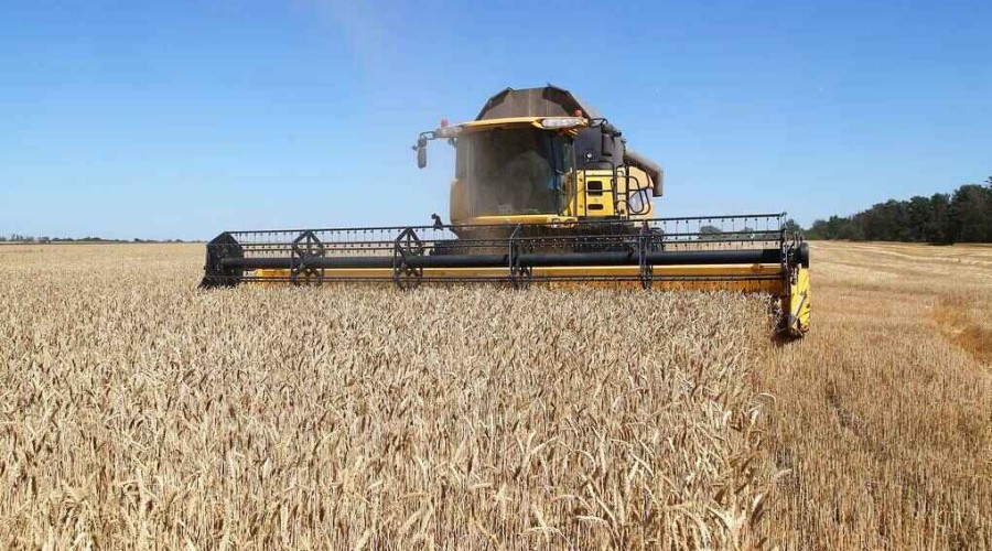 Four routes to export grain from Ukraine