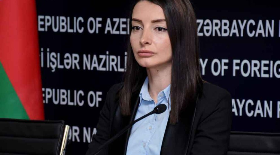 Лейла Абдуллаева: Это очередное признание официальных лиц Армении относительно отправки незаконных военных формирований на азербайджанские территории