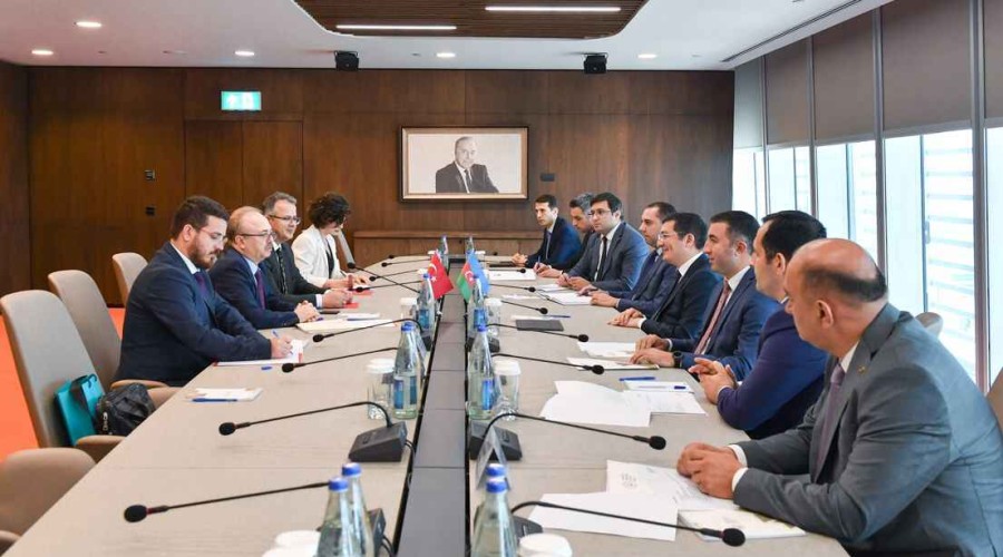 Azerbaijan, Turkiye discuss cooperation in various sectors of economy