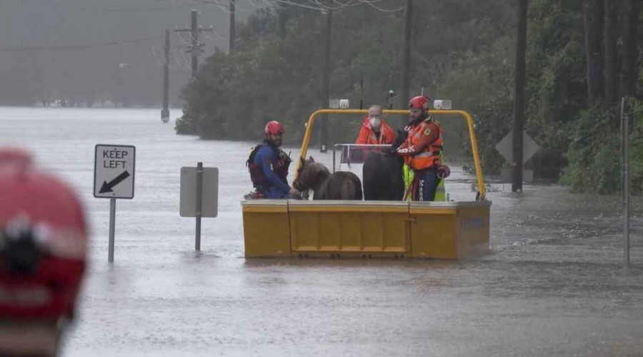 Tens of thousands of Sydney residents told to evacuate as rains flood suburbs