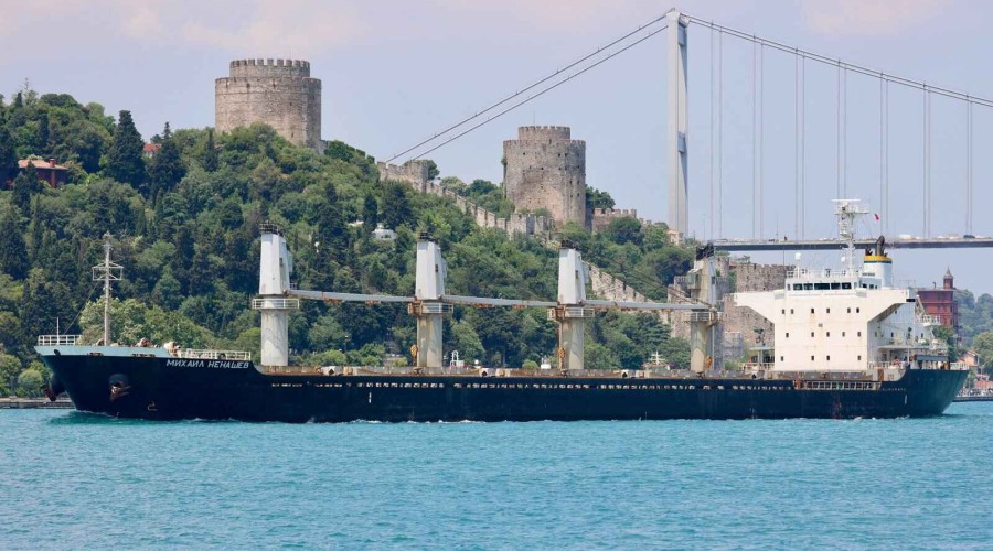 Russian ship suspected of carrying stolen grain leaves Turkish port