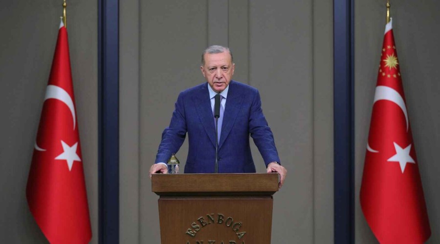 Ankara to continue to contribute to peace between Russia and Ukraine - Erdogan