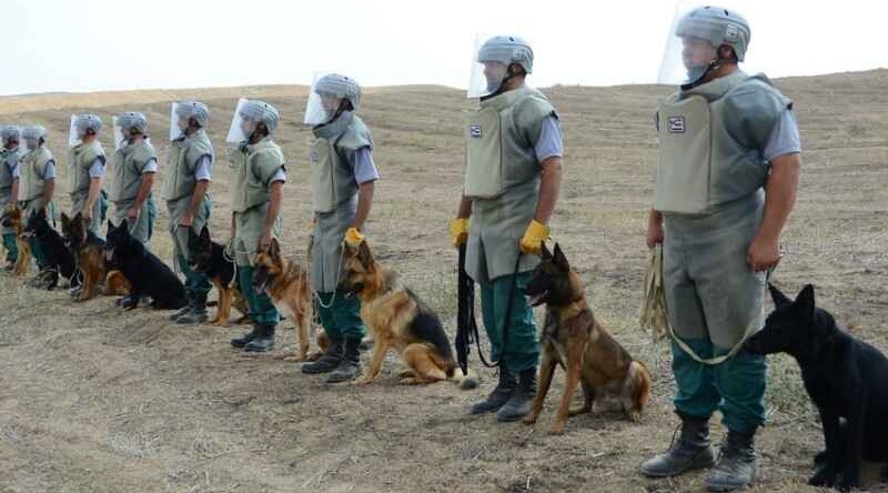  195 mines found in Azerbaijan's liberated territories