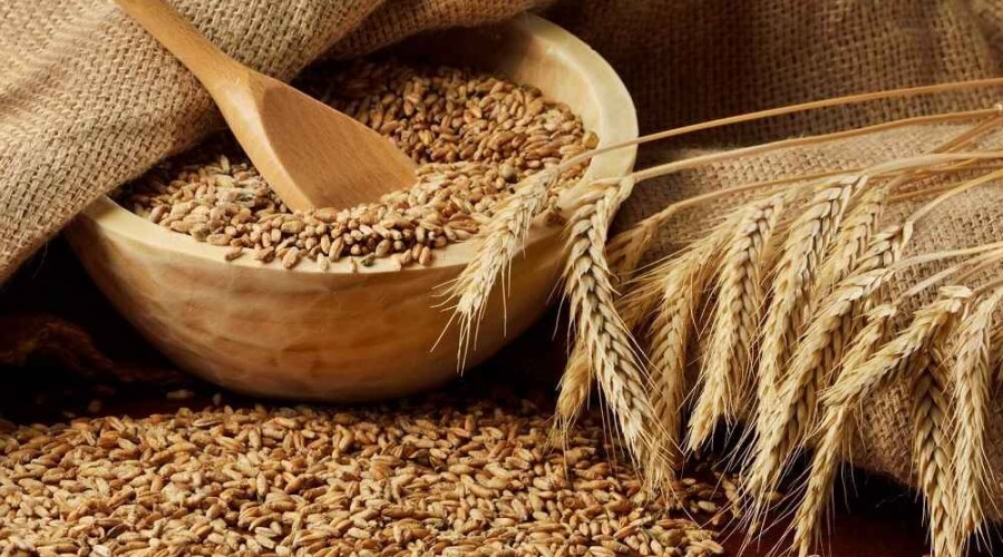 Установлена государственная закупочная цена продовольственной пшеницы