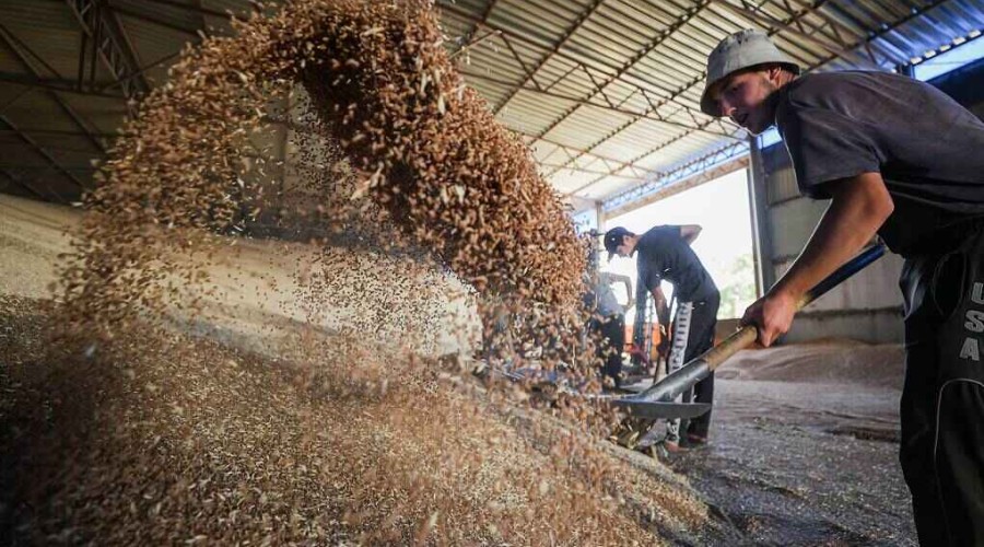 No obstacles on Russia’s part to export of Ukrainian grain — Russian senior diplomat