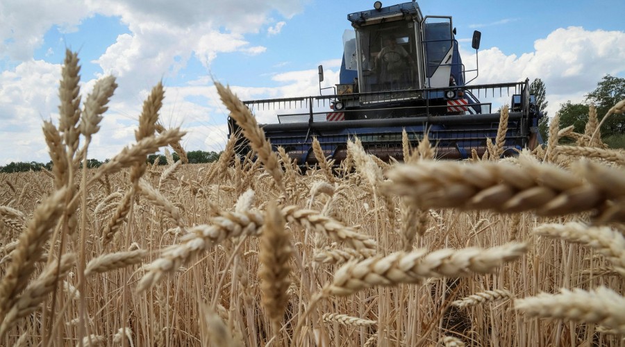 One more grain ship leaves Ukraine, Turkey says