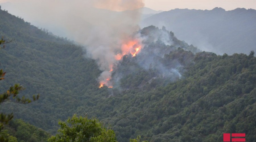 Fires completely extinguished in Azerbaijan's Gabala and Khacmaz