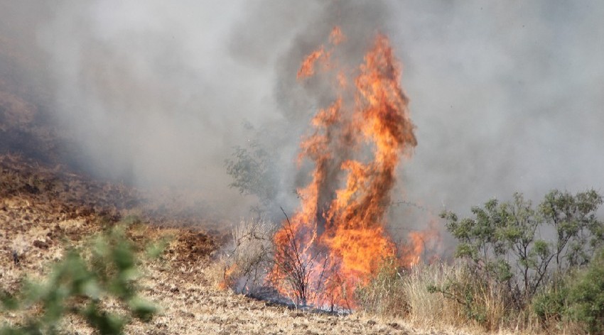 Wildfire breaks out in Gabala