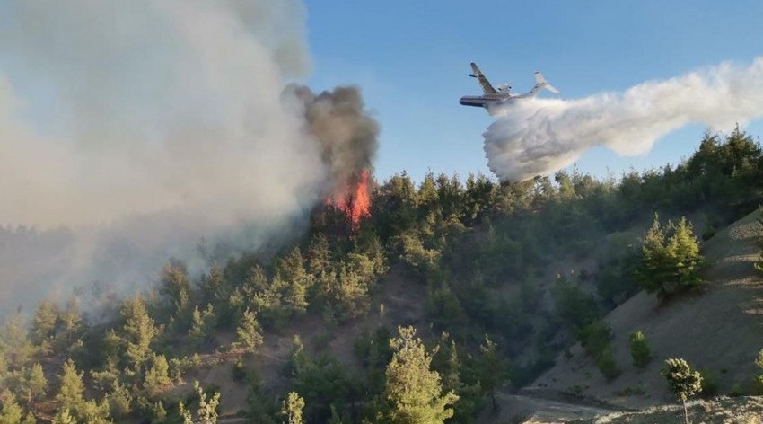 The spread of the fire in Zagatala to larger areas was prevented