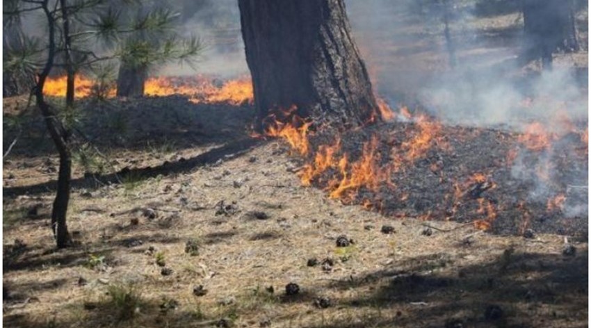 The fire in Shabran has been limited