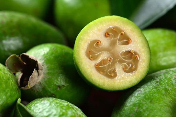 What are the benefits of feijoa?