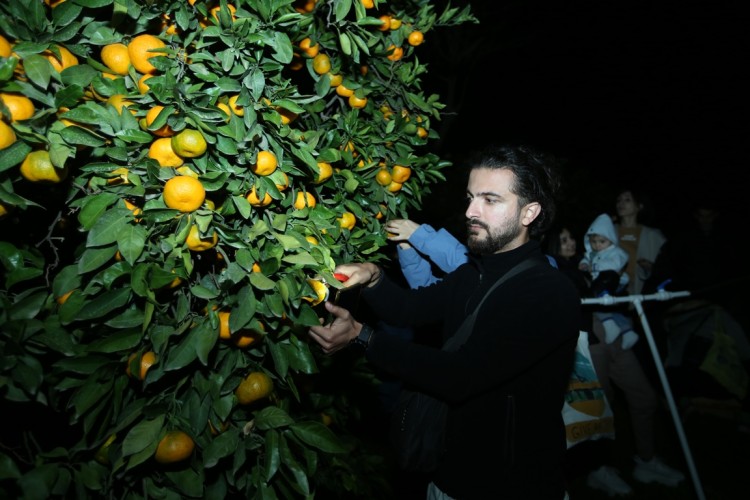 Yaşıl kənd turizminin təbliği istiqamətində İNFOTUR proqramı həyata keçirilib