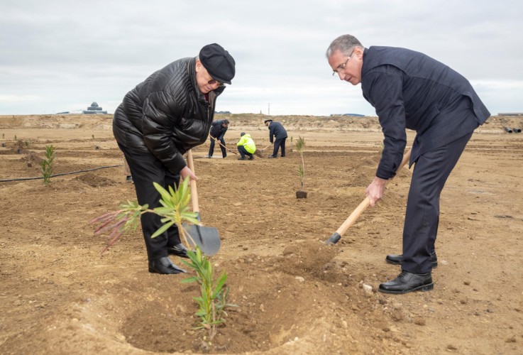 More than 100,000 trees were planted in the forest fund lands in the last week.