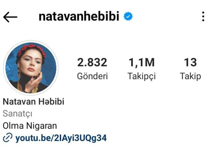 Natavan "Instagram" yenidən bərpa edir
