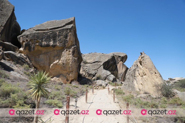 Qobustan Qoruğuna ekskursiya və tarixi sərgi -FOTO REPORTAJ