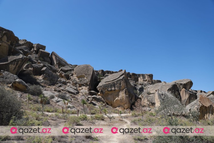 Qobustan Qoruğuna ekskursiya və tarixi sərgi -FOTO REPORTAJ