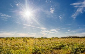 Обнародован прогноз погоды на первый день осени