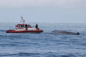 Five dead after boat capsizes off New Zealand coast