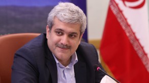 Iran's vice president resigns