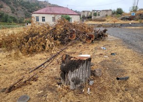 Замминистра об экологическом терроре в Карабахе