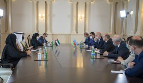 Azerbaijan and the UAE discussed the expansion of the energy sector