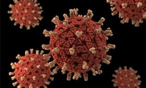 Ministry of Health: Rotavirus infection is mostly transmitted through fecal-oral route
