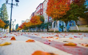 Когда в Азербайджане наступит осень