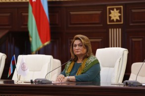 Changes will be made to various laws related to family, women's and children's rights in Azerbaijan