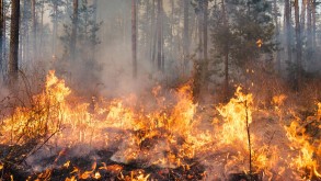 A fire has started in the Altiagac National Park