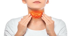 Помощники щитовидной железы: профилактика эндокринных заболеваний