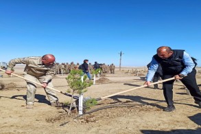 More than 1,000 trees planted on Day of Remembrance in Baku