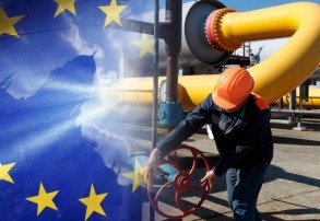 Тринадцать стран ЕС призвали к «потолку» цен на весь импортируемый газ