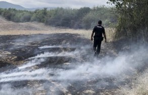 В Бузовне начался пожар на открытой местности