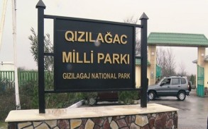 Qızılağac Milli Parkına jurnalistlərin səfəri təşkil edilib