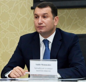 Deputy Minister: "The issue of self-sufficiency with wheat has become urgent in Azerbaijan"