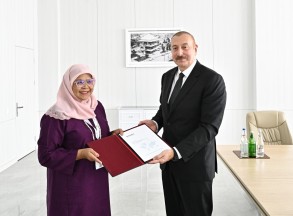 President Ilham Aliyev received the executive director of the UN Settlement Program