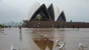 Sydney sees wettest year on record