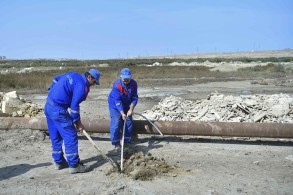 Sayğacdan qanunsuz istifadə halı aşkarlandı