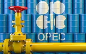 Körfəz ölkələri OPEC+un neft hasilatını azaltmaq qərarını dəstəkləyib