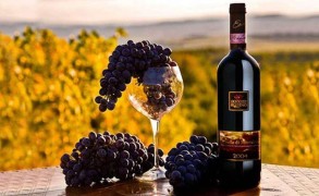 The Council of Europe has chosen Azerbaijan as the best wine tourism route