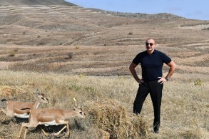 Ilham Aliyev and Recep Tayyip Erdogan released 15 gazelles in Jabrayil region