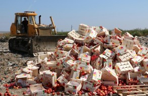 Обнародованы объемы утилизированной продукции в Азербайджане