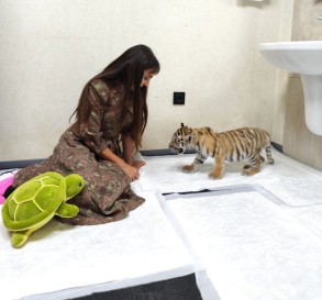 Leyla Aliyeva visited Baku Zoological Park