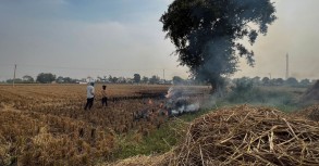 Farmers cite lack of options as stubble burning turns air toxic in northern India