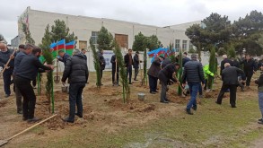 In connection with the Victory Day, a tree-planting action was held in the village of Agali